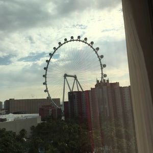 Meet your Posher, Milijana